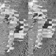 Photo of Obed wild woman 